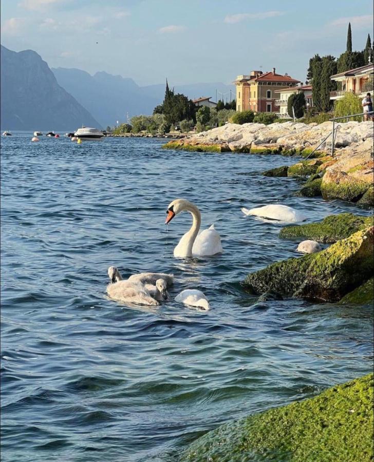 Villa Torre - Atmosfera Romantica برنزوني سول جاردا المظهر الخارجي الصورة