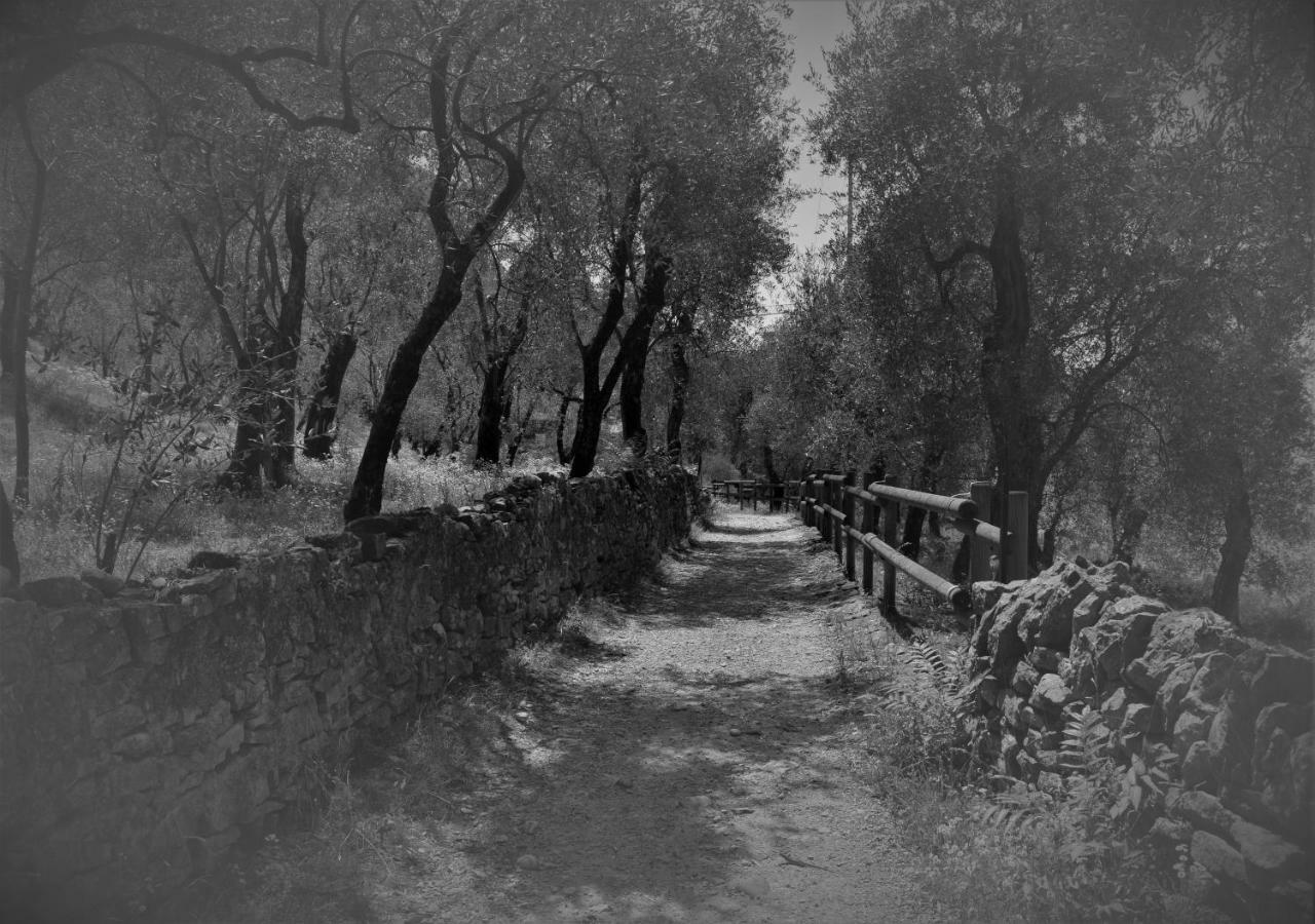 Villa Torre - Atmosfera Romantica برنزوني سول جاردا المظهر الخارجي الصورة